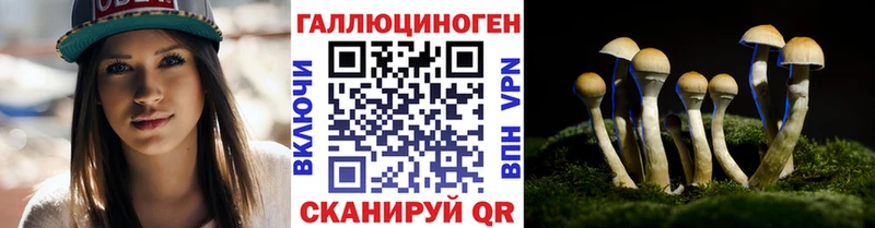 Псилоцибиновые грибы мухоморы  Купить закладки  Чудово 